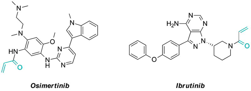  Specific Covalent Inhibitor Fragment Library