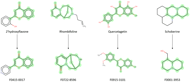  Natural Product-like Fragment Library