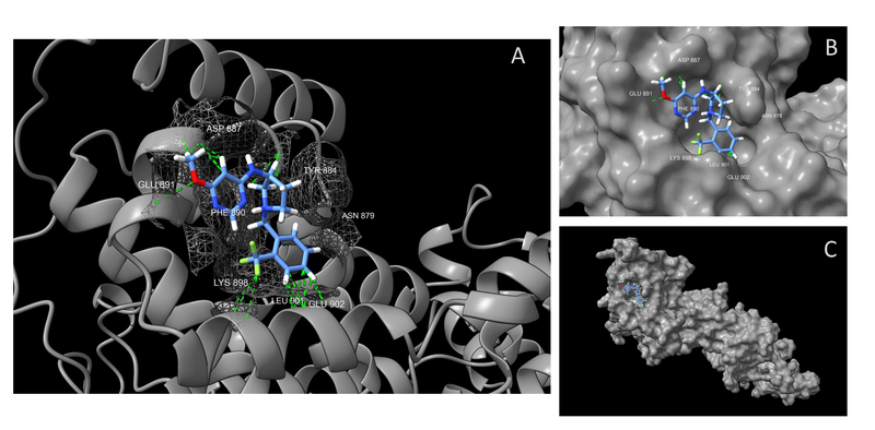  SOS1 Inhibitor Screening Library