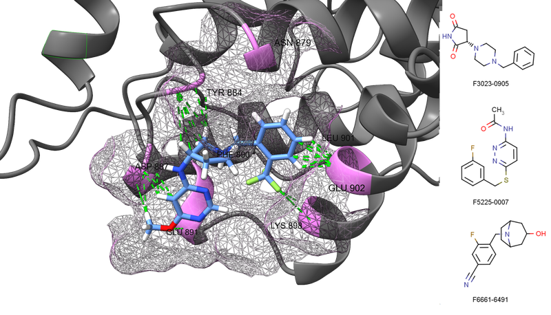  SOS1 Inhibitor Screening Library