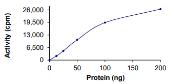 PRMT3 Protein, Human, Recombinant (Active, GST)