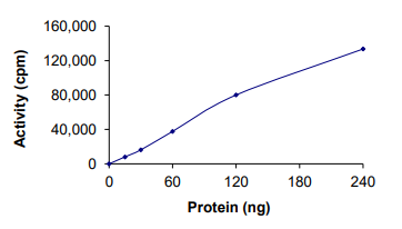 TrkA Protein, Human, Recombinant (G667C, GST)
