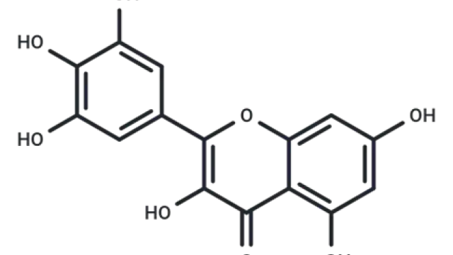 【TargetMol 明星分子】- Myricetin: 多靶点调控细胞命运的天然黄酮