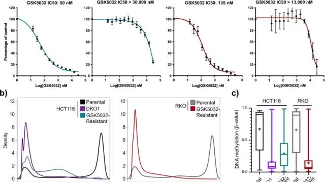【TargetMol 明星分子】- GSK3685032: 精准可逆抑制DNMT1，揭示甲基化维持机制与去甲基化动力学