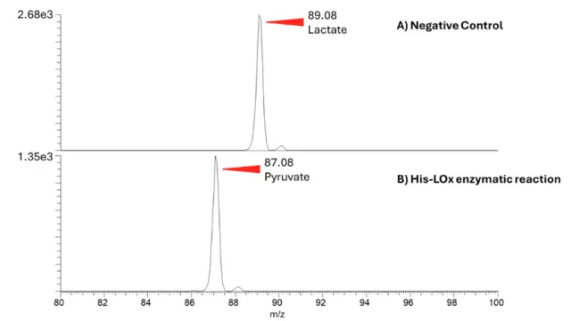 【TargetMol 明星分子】- Lactate oxidase: 乳酸代谢与信号调控的关键酶，助力肿瘤与代谢研究突破