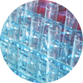 TargetMol | 其他类标准品