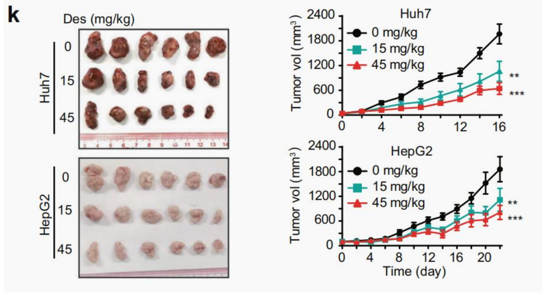 TargetMol | HTS药物发现平台 | 体内药效学研究