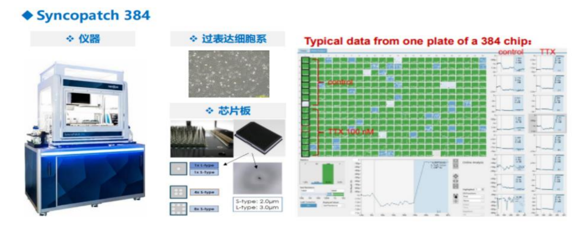 TargetMol | HTS药物发现平台 | 离子通道靶点筛选