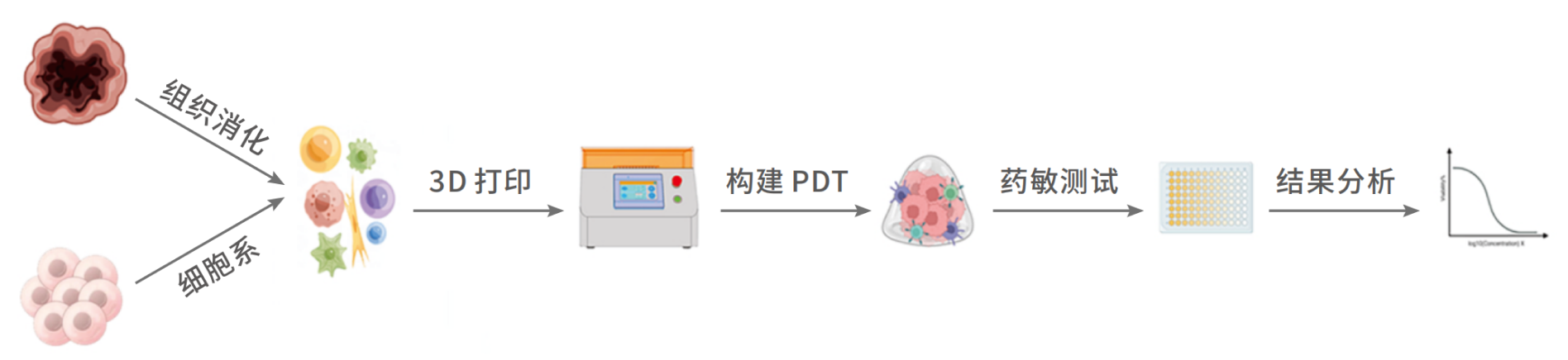 TargetMol | HTS药物发现平台 | 类器官药物筛选 | 技术应用&案例