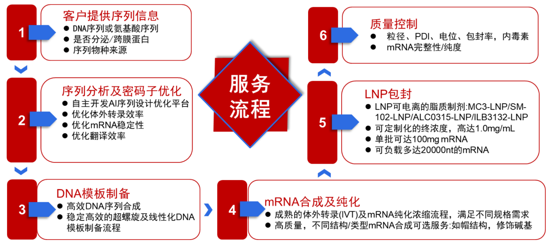 TargetMol | 特色定制服务平台 | mRNA定制合成服务 | mRNA-LNP 服务流程