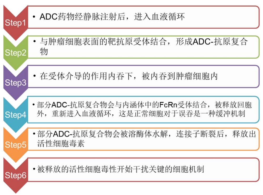 TargetMol | 特色定制服务平台 | ADC 相关定制服务