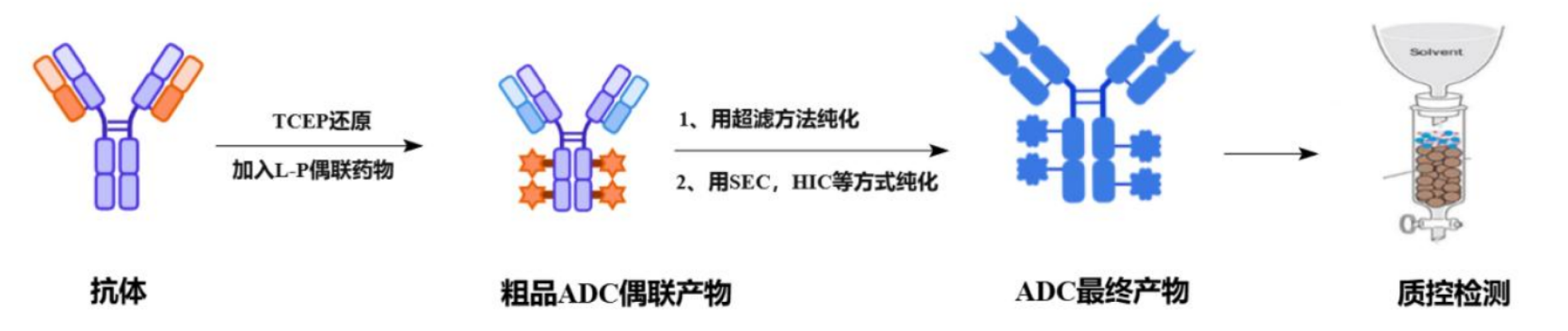 TargetMol | 特色定制服务平台 | ADC 相关定制服务 | ADC 定制服务流程