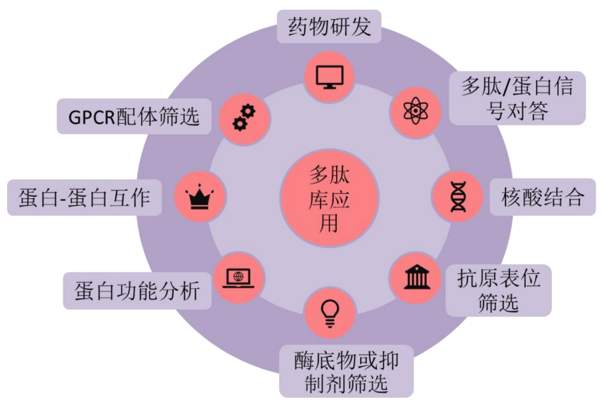 TargetMol | 特色定制服务平台 | 肽库合成及设计服务