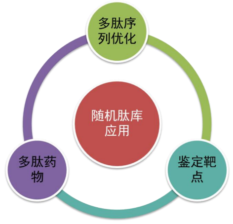 TargetMol | 特色定制服务平台 | 肽库合成及设计服务 | 随机肽库