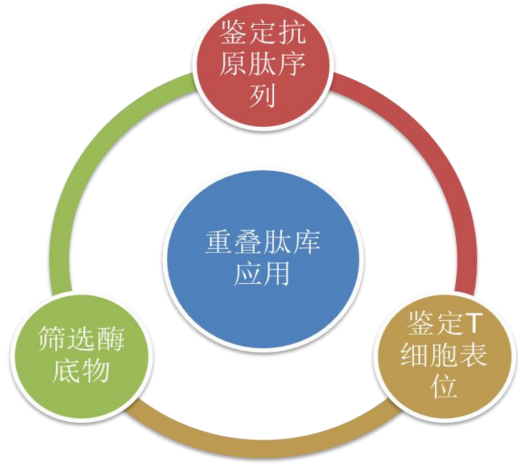 TargetMol | 特色定制服务平台 | 肽库合成及设计服务 | 重叠肽库
