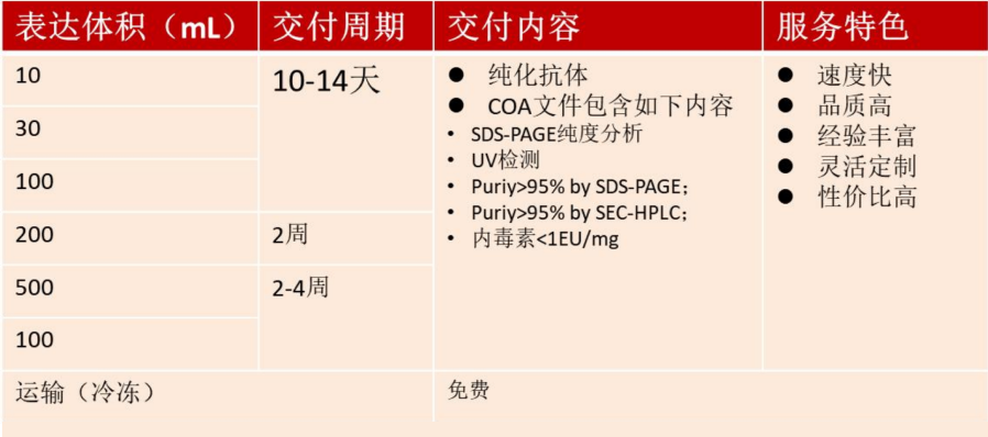 TargetMol | 特色定制服务平台 | 重组抗体表达服务 | 重组抗体表达服务内容