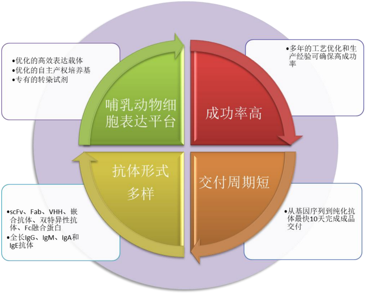 TargetMol | 特色定制服务平台 | 重组抗体表达服务 | 陶术生物综合优势