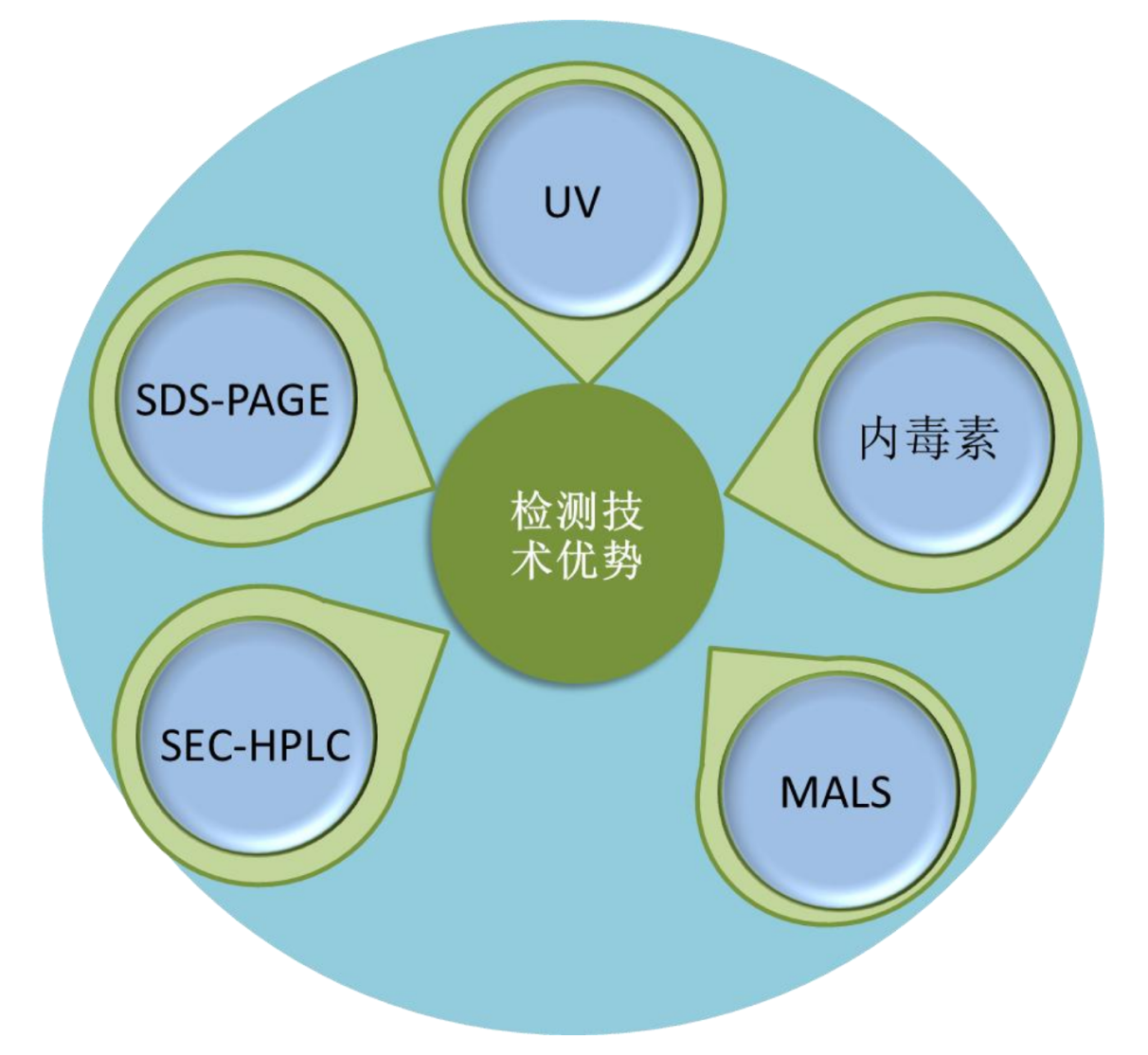 TargetMol | 特色定制服务平台 | 重组抗体表达服务 | 陶术生物测技术优势
