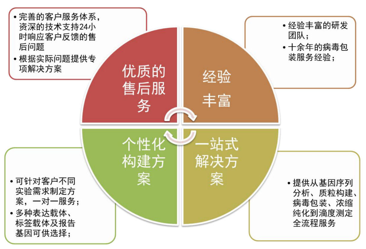 TargetMol | 腺病毒包装服务