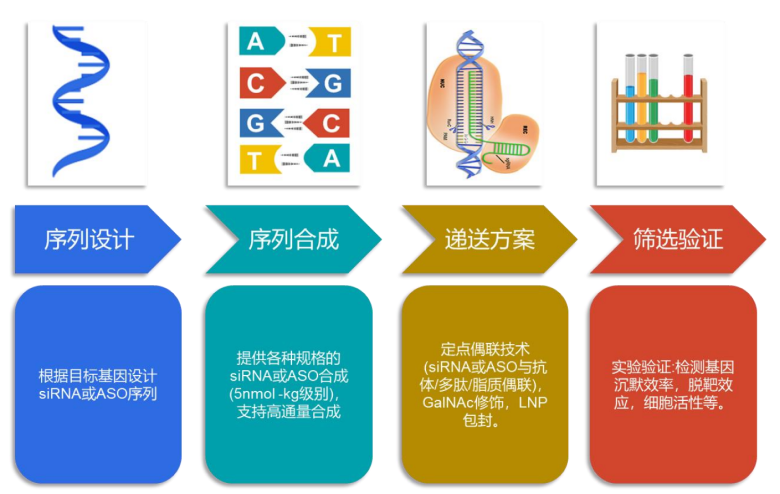 TargetMol | 特色定制服务平台 | 寡核苷酸合成 | 寡核苷酸定制服务的流程
