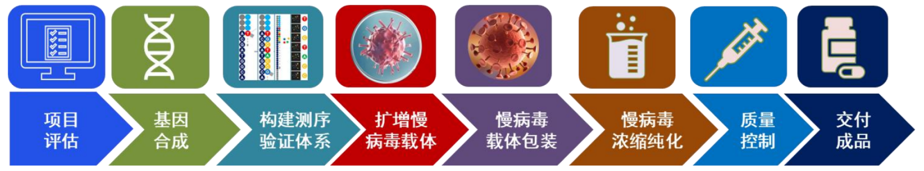 TargetMol | 特色定制服务平台 | 慢病毒包装服务 | 慢病毒包装服务流程