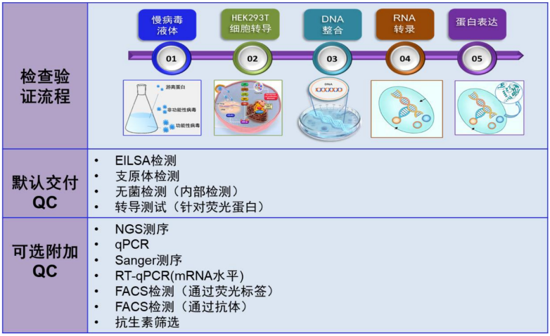 TargetMol | 特色定制服务平台 | 慢病毒包装服务 | 慢病毒包装服务质量控制