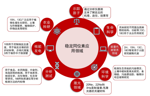 TargetMol | 特色定制服务平台 | 稳定同位素类化合物定制合成服务