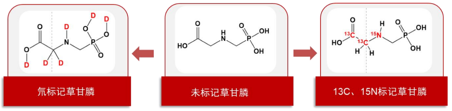 TargetMol | 特色定制服务平台 | 稳定同位素类化合物定制合成服务 