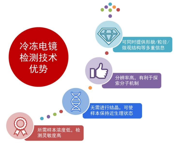 TargetMol | 特色定制服务平台 | 蛋白晶体结构解析服务 | 冷冻电镜检测技术的主要优势