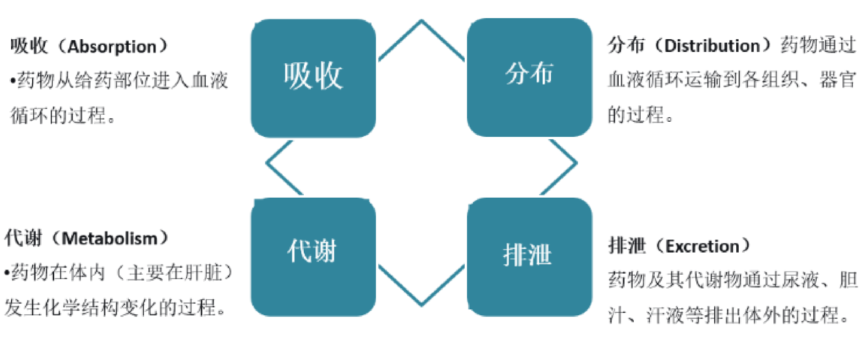 TargetMol | 药代动力学研究