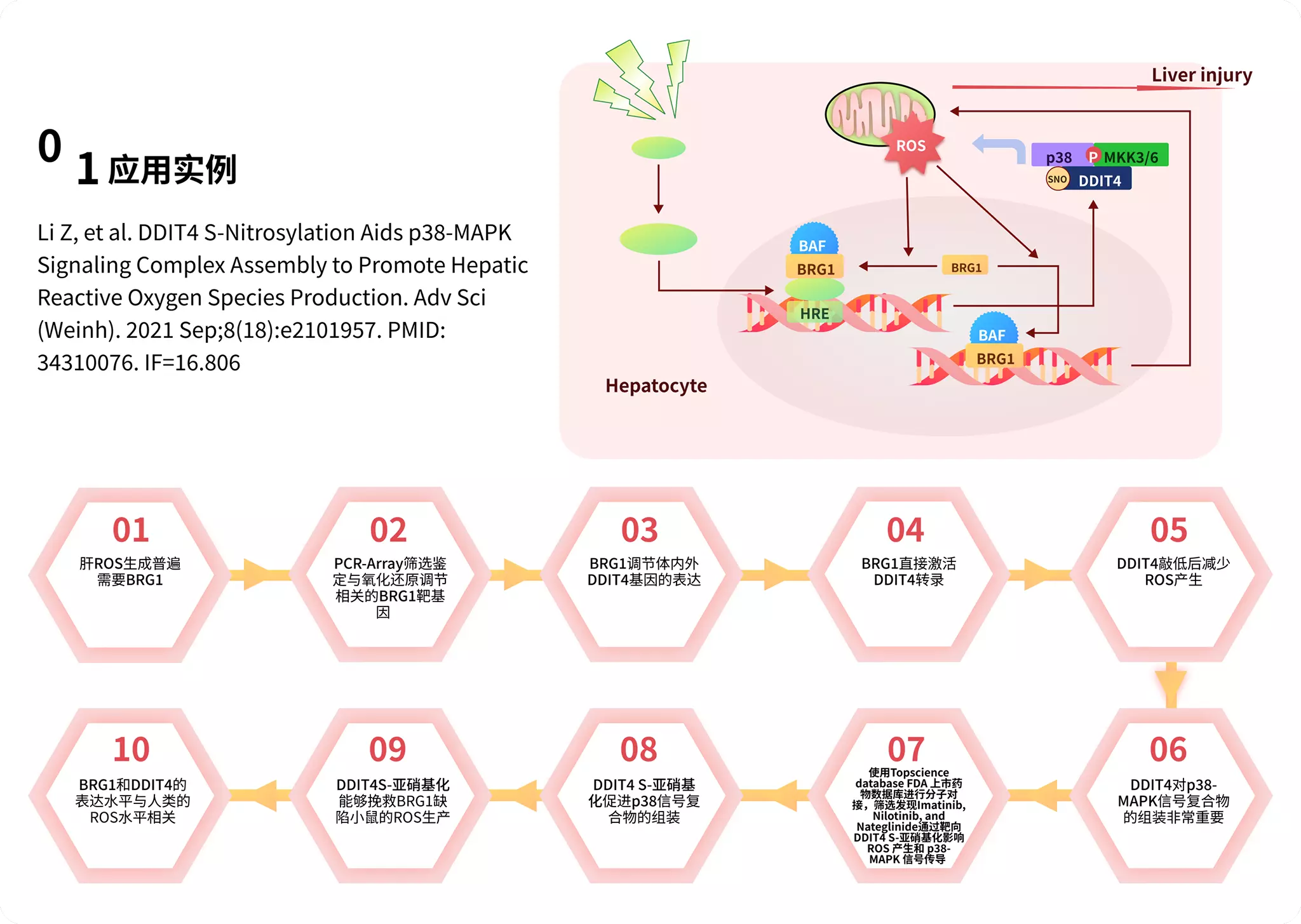 TargetMol | 人工智能药物设计 | 小分子数据库-TOPSCIENCE DATABASE