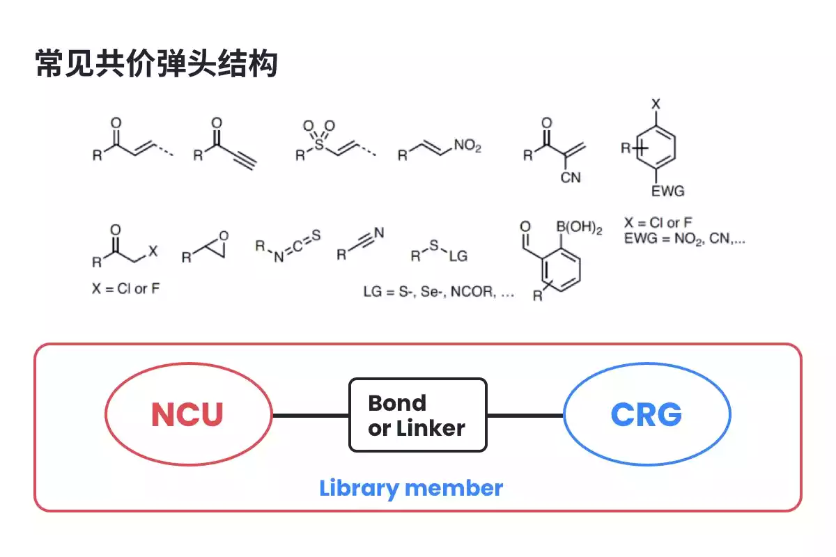共价化合物数据库