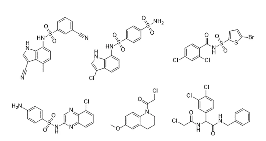 分子胶化合物数据库
